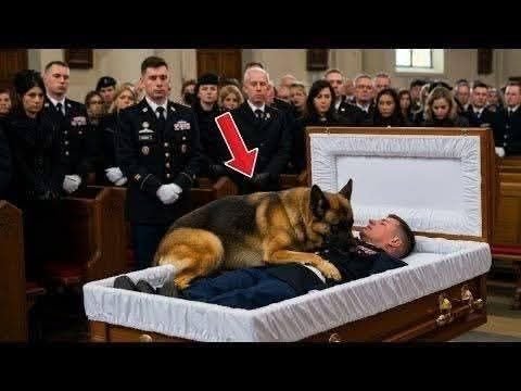 “Until We Meet Again: Heart-Stopping Moment When K9 Says Goodbye to Partner”