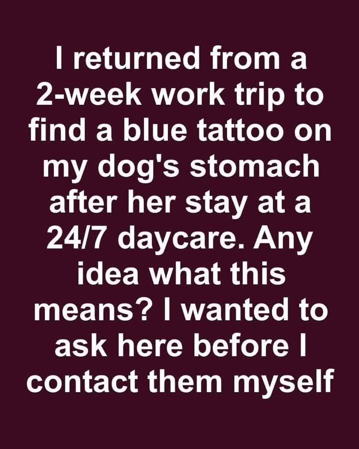 Exploring Pet Tattoos: Popular Trends and Motivations Returning Home: The Surprise Tattoo