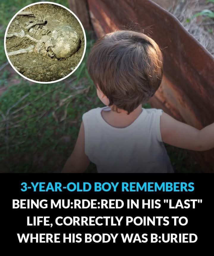 3-Year-Old Boy Remembers Being M-urdered In His “Last” Life, Correctly Points To Where His B0dy Was Buried