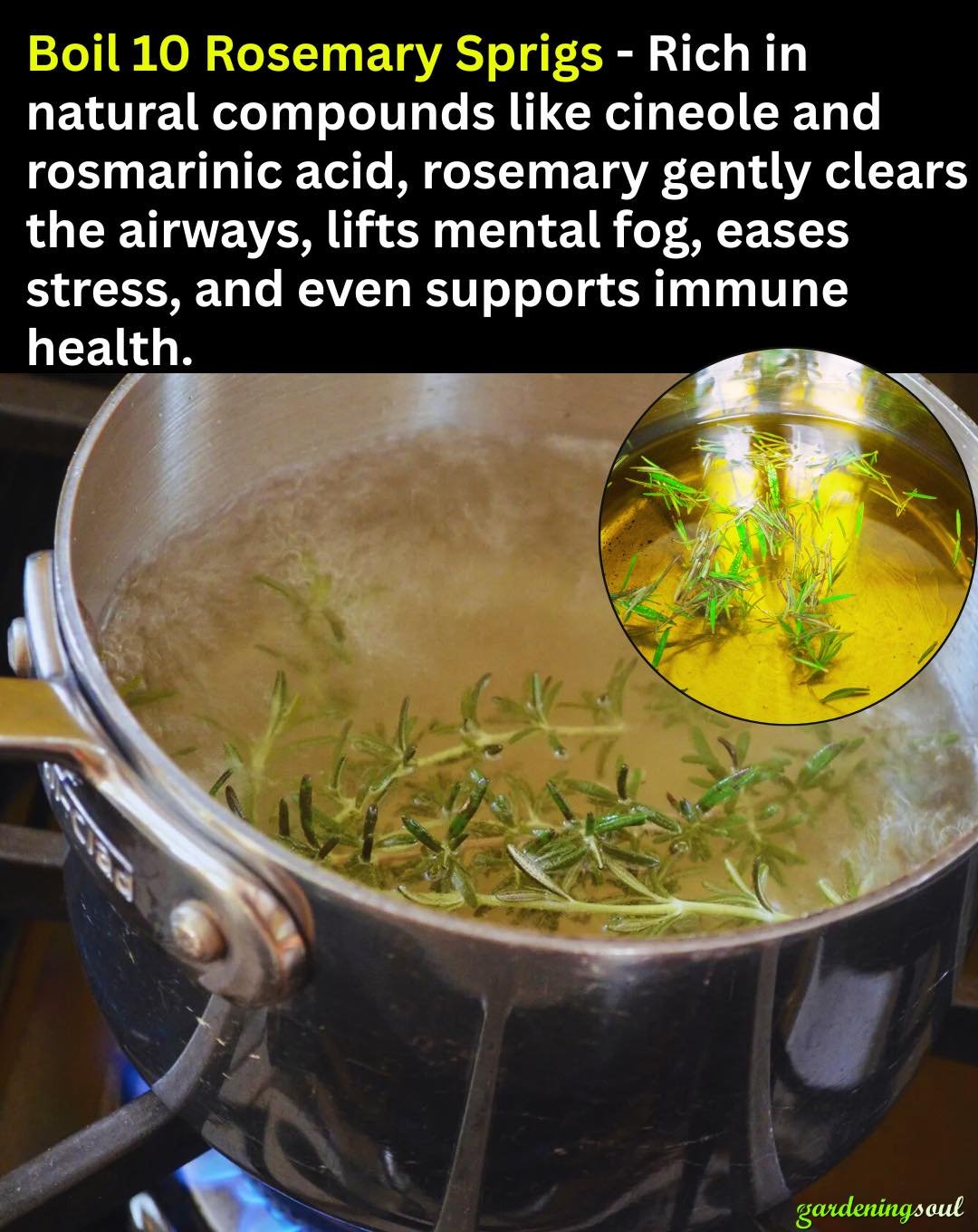Try Simmering 10 Sprigs of Rosemary and Enjoy the Amazing Benefits That Follow