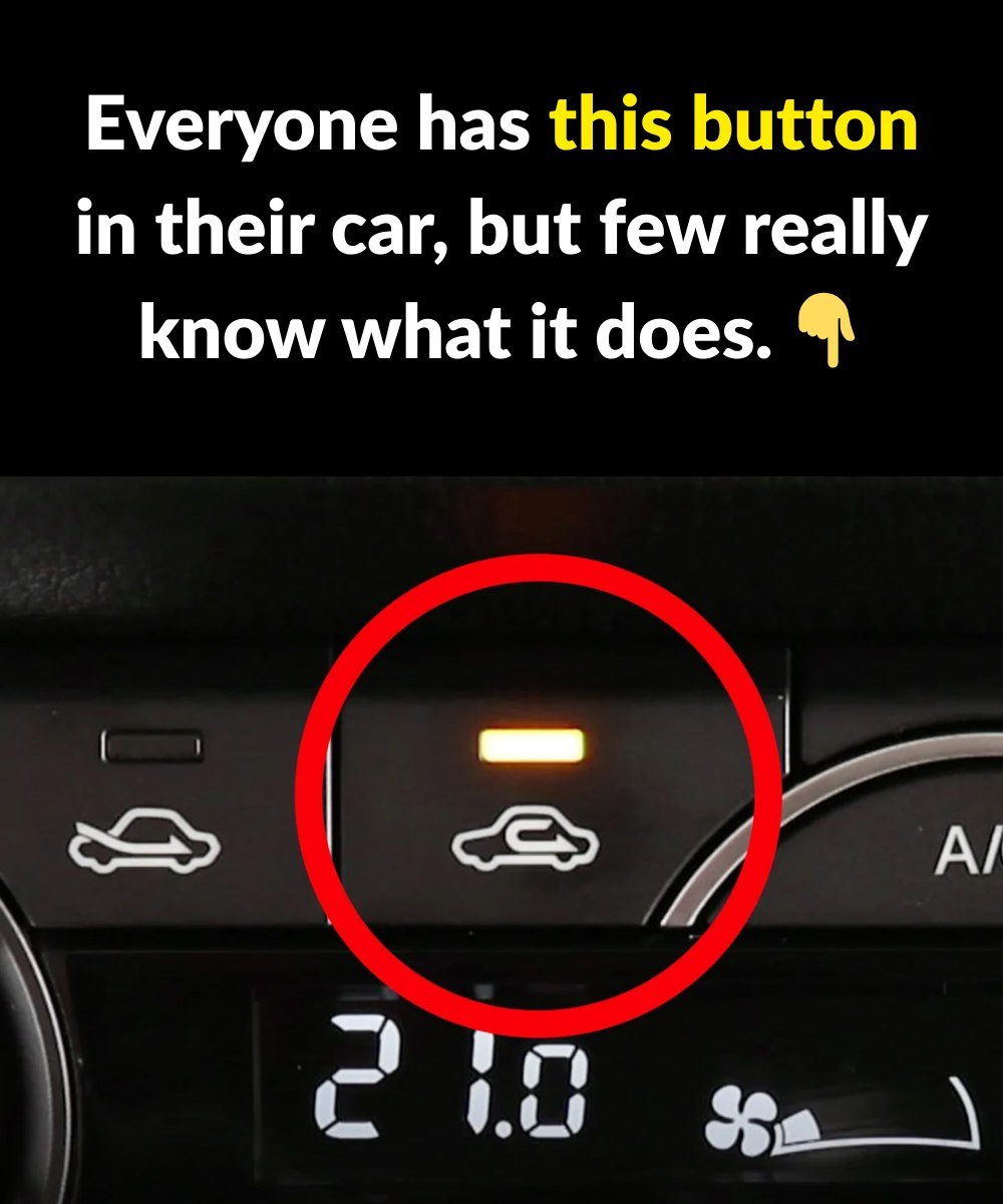 What Is This Button In The Car For