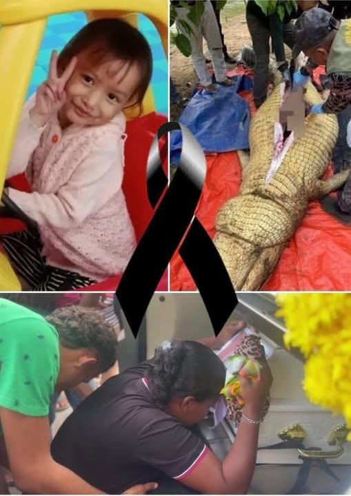 5-year-old girl dies after being eaten by crocodile in front of her parents