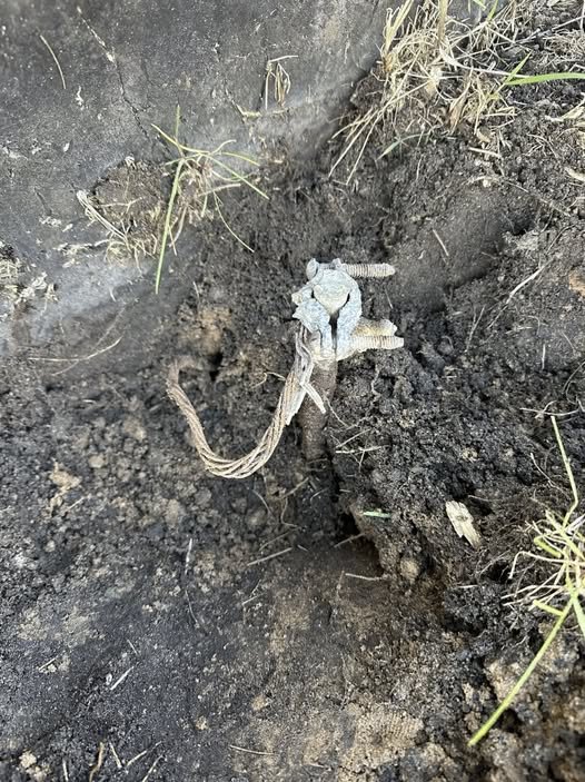 I Found a Weird Wire in My Yard…