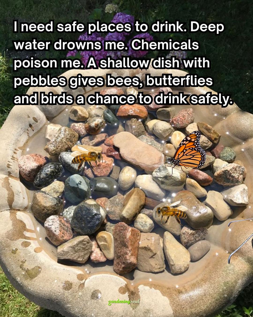 Save the Bumble Bees: Plant These Flowers in Your Spring Garden