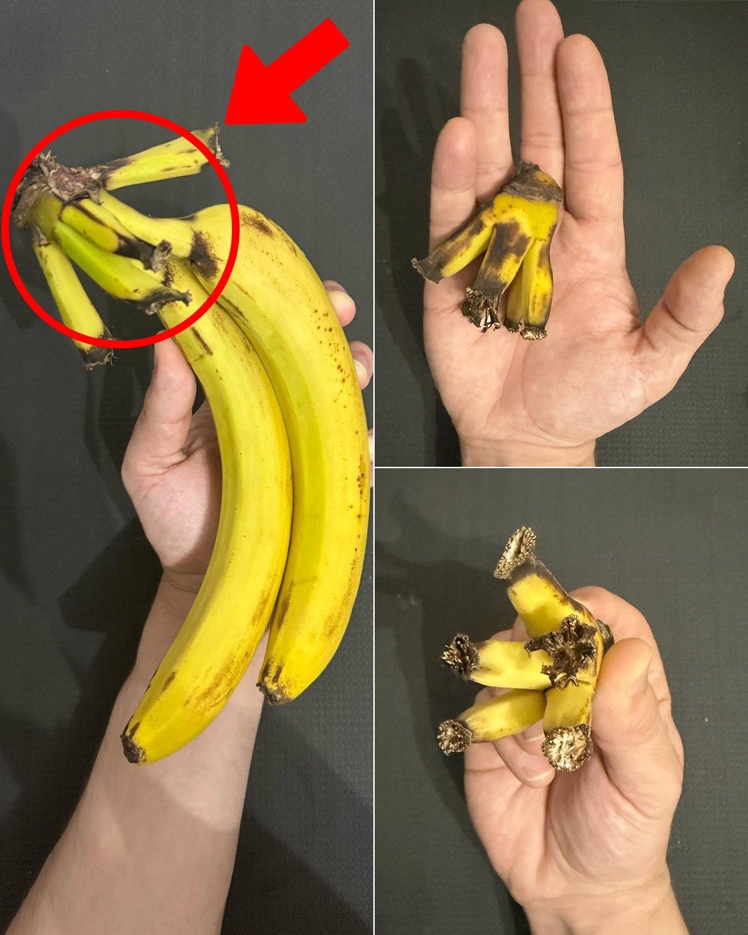 Unlocking the Hidden Potential of the Banana Stalk