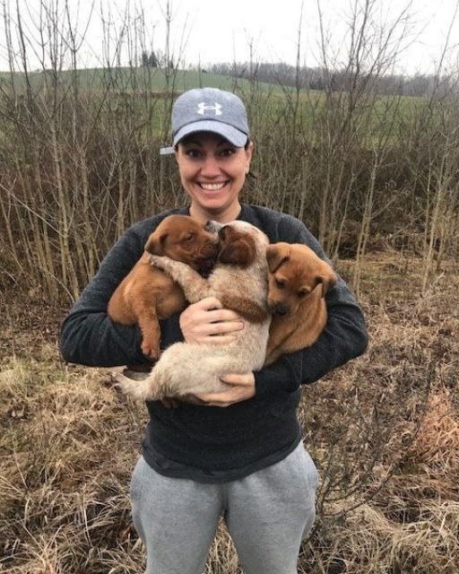 I FOUND FOUR PUPPIES ON A HIKING TRAIL—AND ONE OF THEM HAD A NOTE TUCKED IN ITS COLLAR