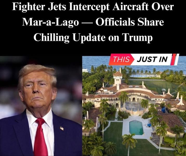 F-16 Employs Unusual ‘Headbutt’ Move to Stop Plane Near Trump’s Resort