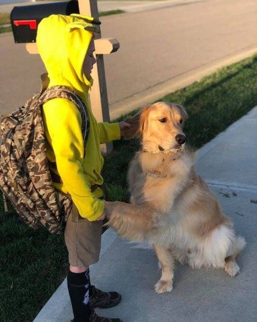 EVERY MORNING MY DOG TRIED TO STOP HIM FROM LEAVING—BUT TODAY FELT DIFFERENT