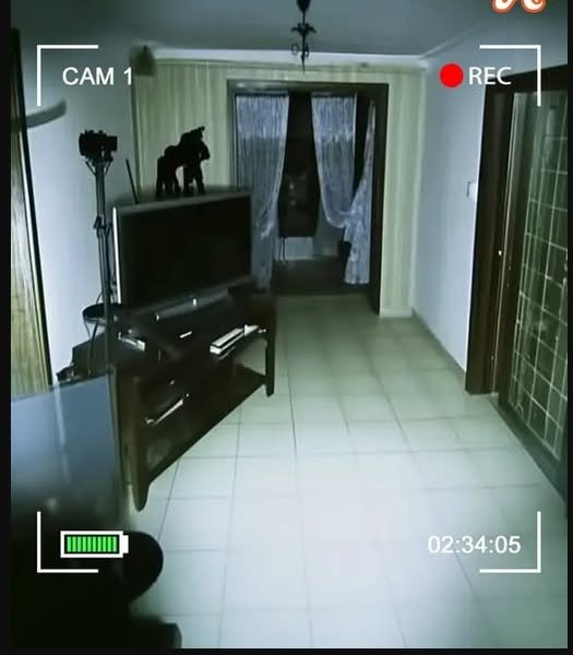 Things in My House Started Moving Around