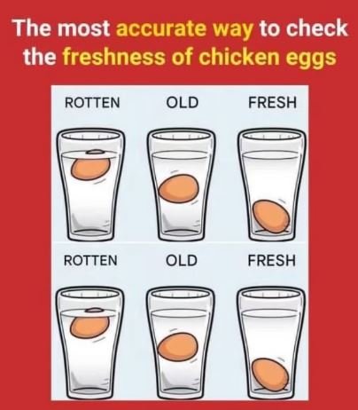 The Best Method to Check Egg Freshness (It Actually Works)