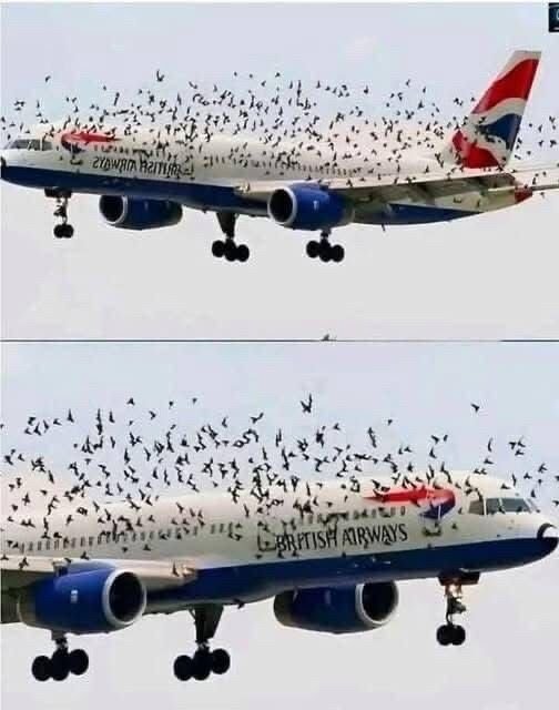 Pilot Reacted Emotionally When He Realized