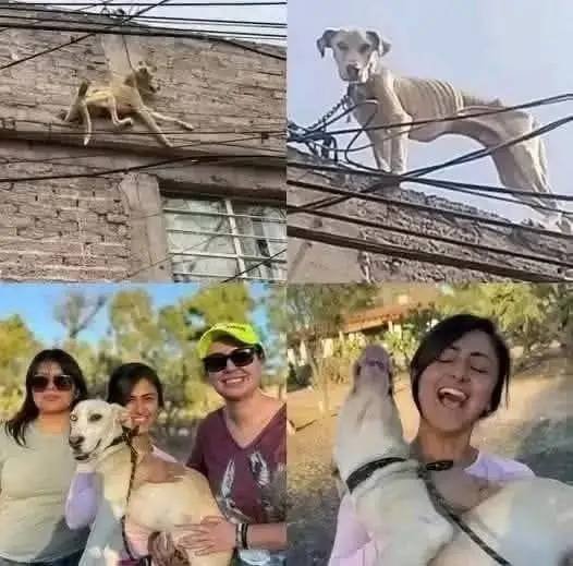 His eyes no longer asked for help, he just waited for the end…See more