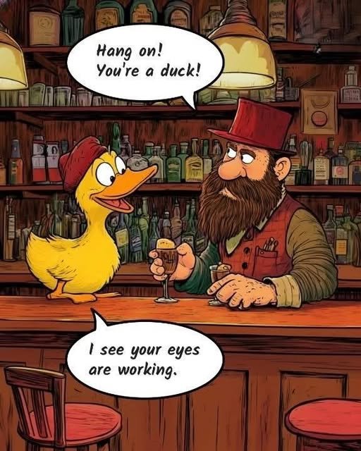 Life’s a Laugh: 11 Hilarious Jokes About Bars, Workplaces, and Wacky Animals