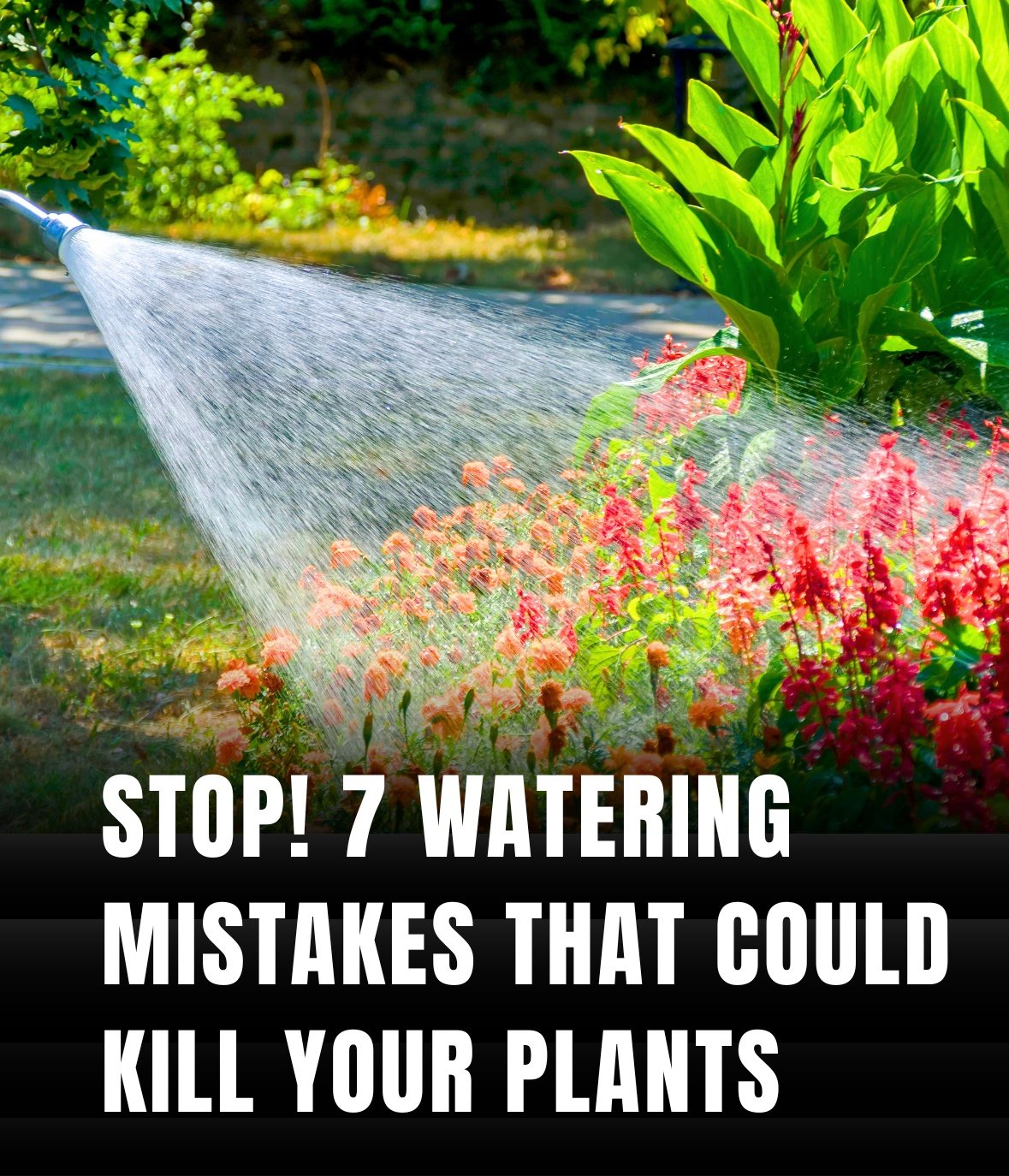 Common Watering Mistakes Every Gardener Should Avoid