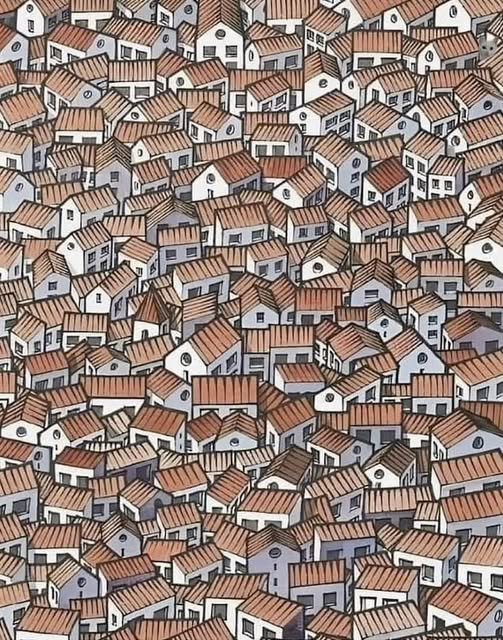 Only People With Eagle Eyes Can Spot The Hidden Cat In This Image Of Houses