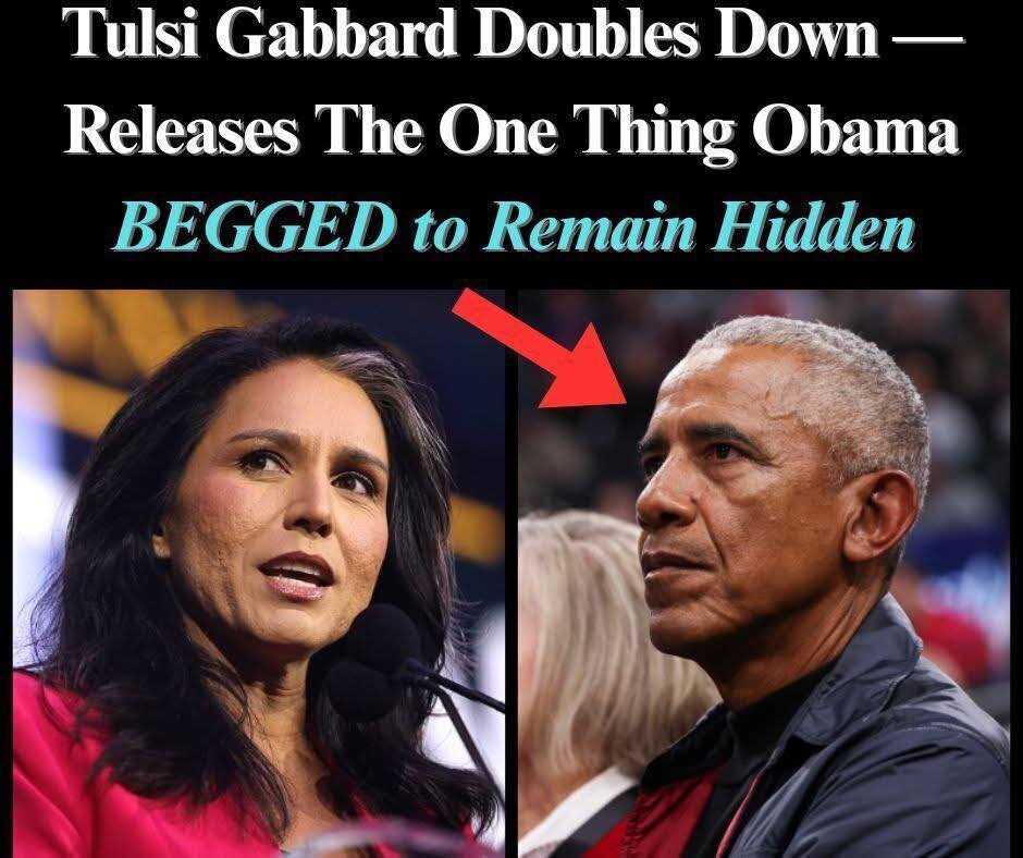 Tulsi Gabbard Sends Criminal Referral to DOJ Over Alleged Obama-Era Misconduct in 2016 Election Aftermath