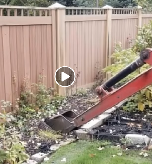 My Neighbor Made Me Tear Down My Fence — She Regretted It the Next Week