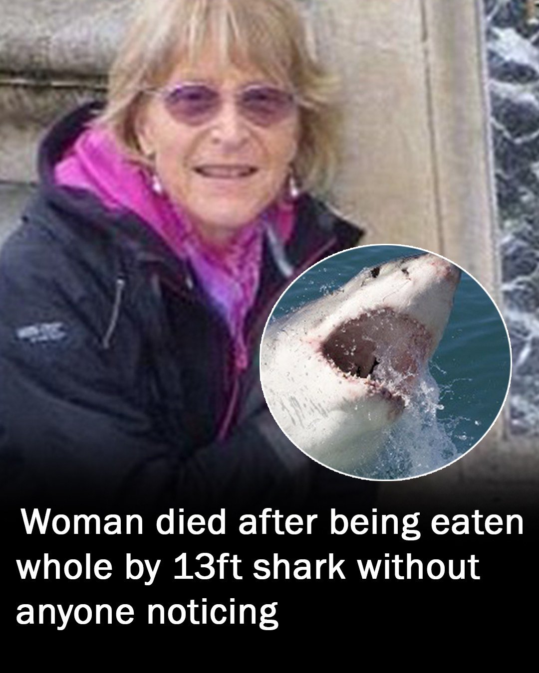 Woman eaten whole by 13ft shark during ocean swim without anyone noticing