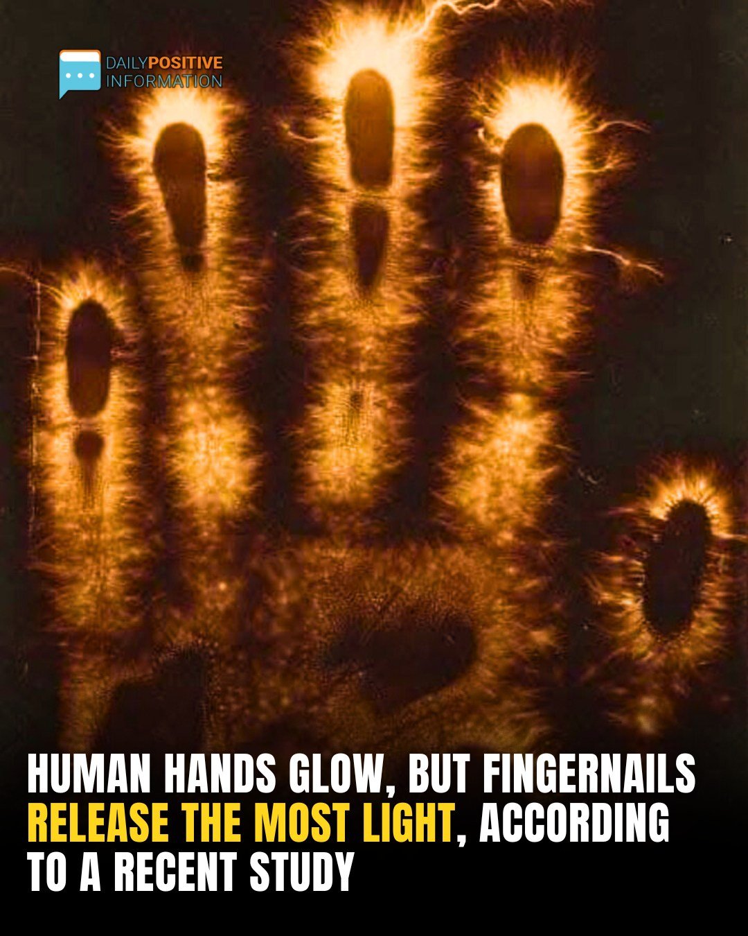 The Hidden Light In Your Hands That Shouldn’t Be Dimmed