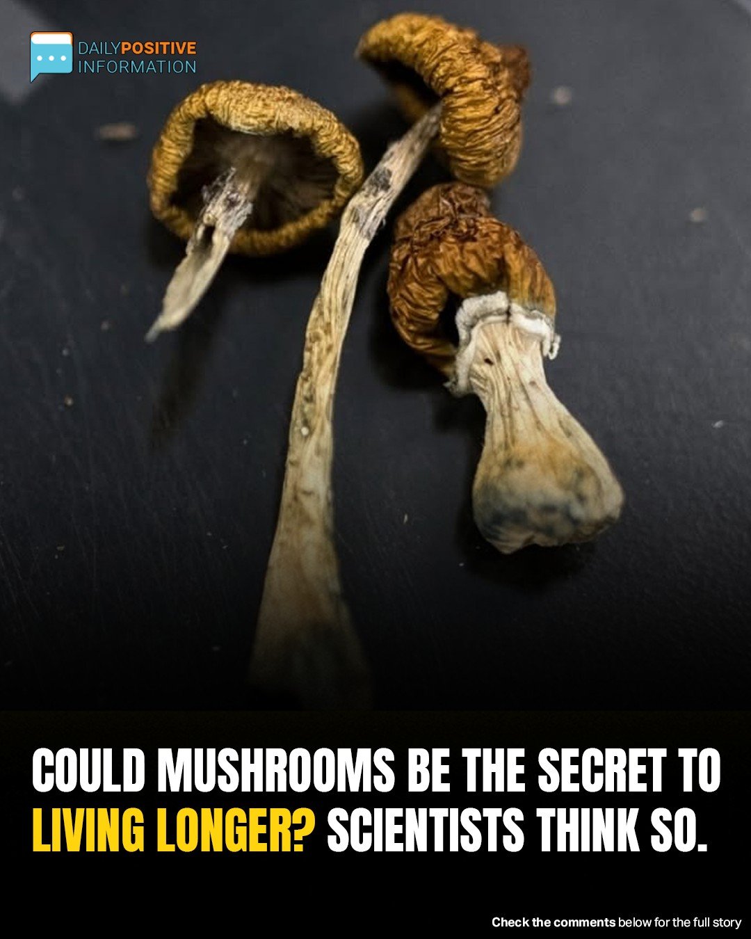 Could Psilocybin Be The Key To A Longer Life? Researchers Are Shocked