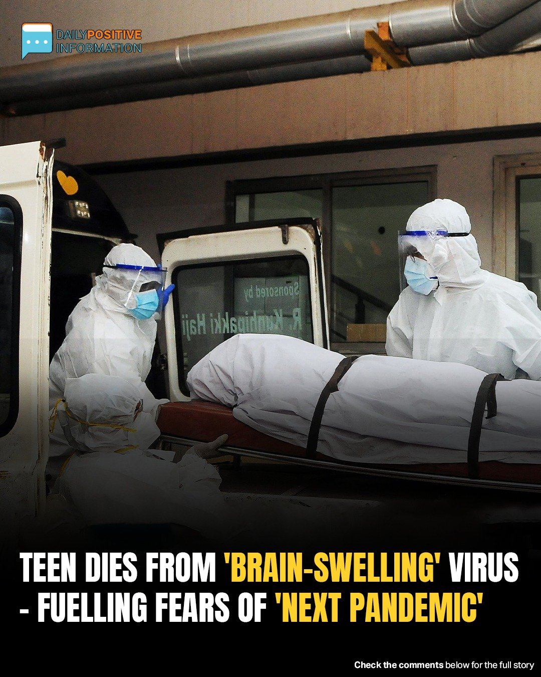 Deadly Bat Virus Claims Teen’s Life In Kerala—Officials Confirm Second Infection