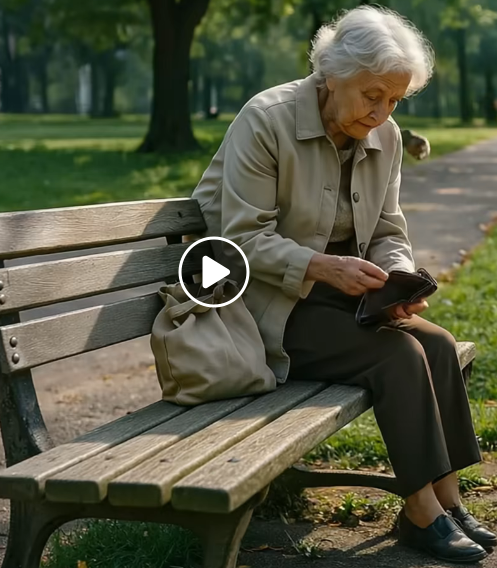 A Found Wallet in the Park Leads to a Life-Changing Encounter