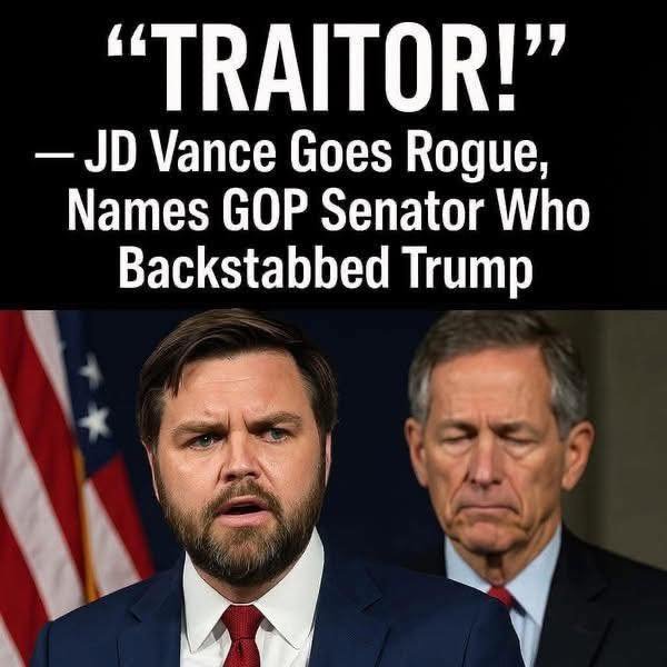 VP JD Vance Breaks Senate Tie To Advance $9.4 Billion Rescissions Package