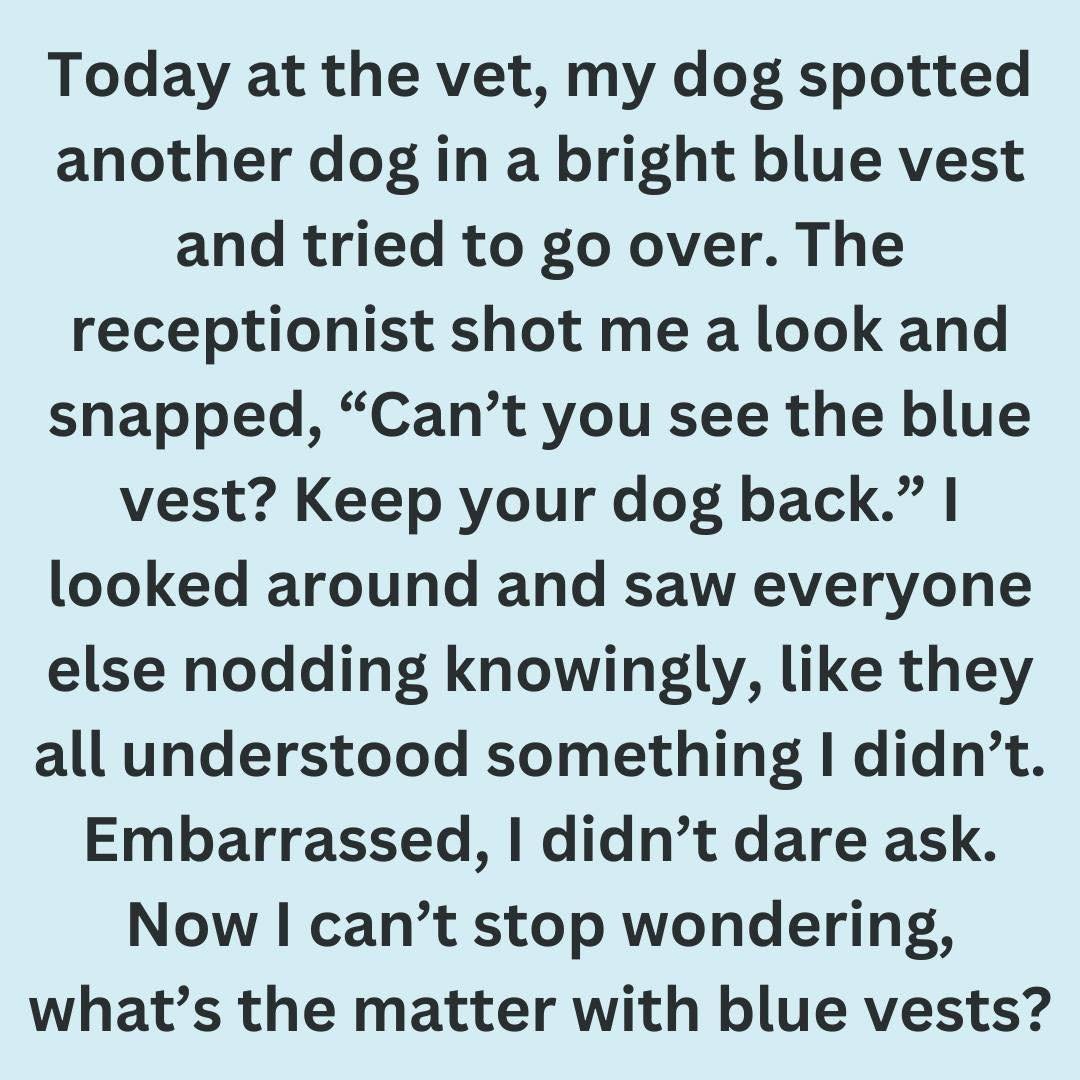 What It Really Means When You See a Dog Wearing Blue Gear