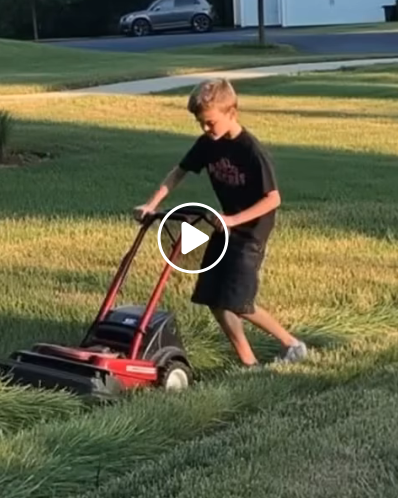 A Son’s Hard Work and a Mother’s Clever Justice