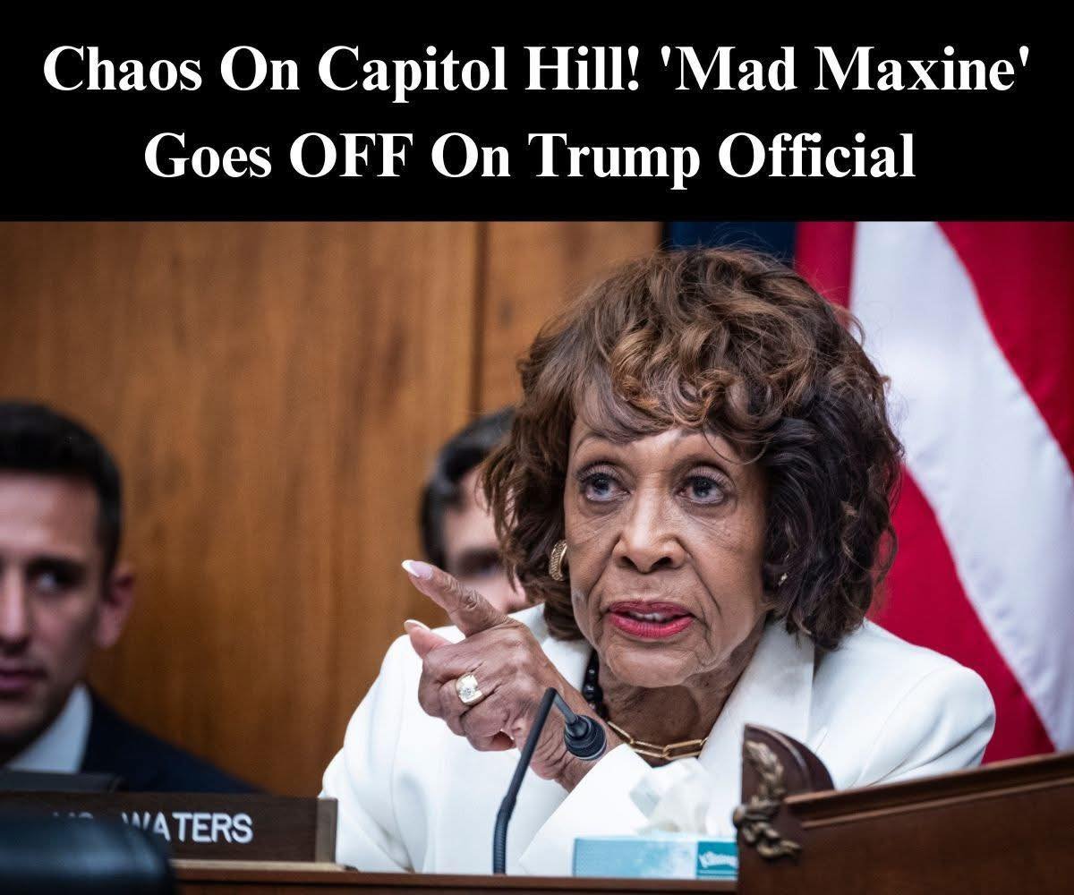 WATCH: Scott Bessent, Waters Clash Over DOGE Access To Treasury Dept. Info