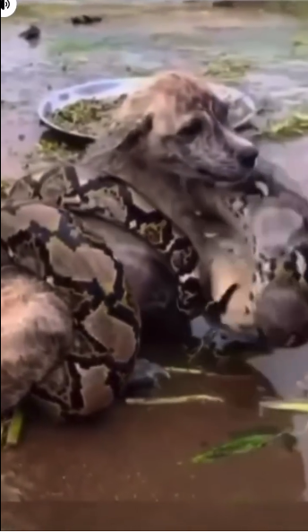 26 Pictures That Need A Second Look