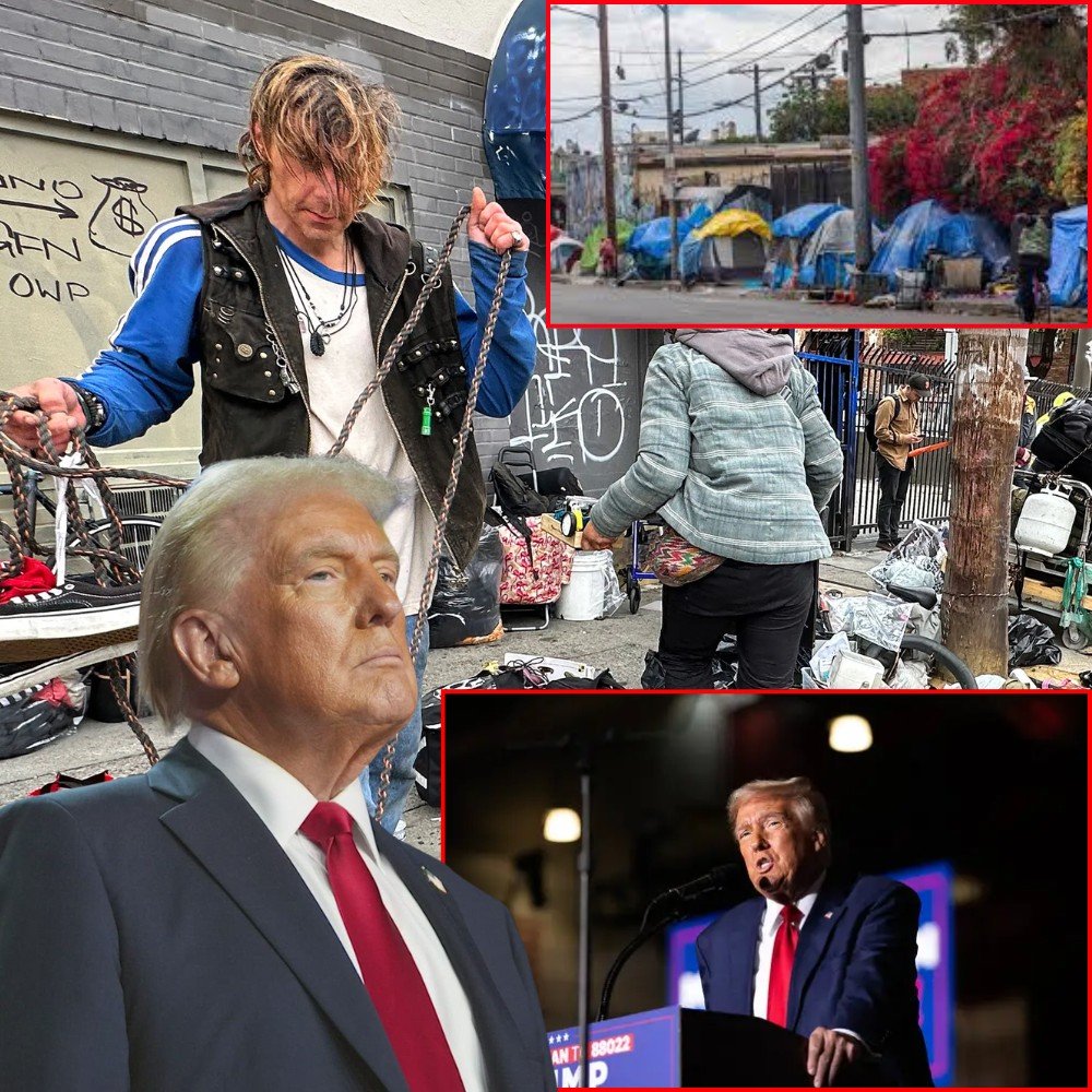 Golden Age: Trump Cuts Illegal Alien Population by ‘Astonishing’ 1.6 Million Since Taking Office