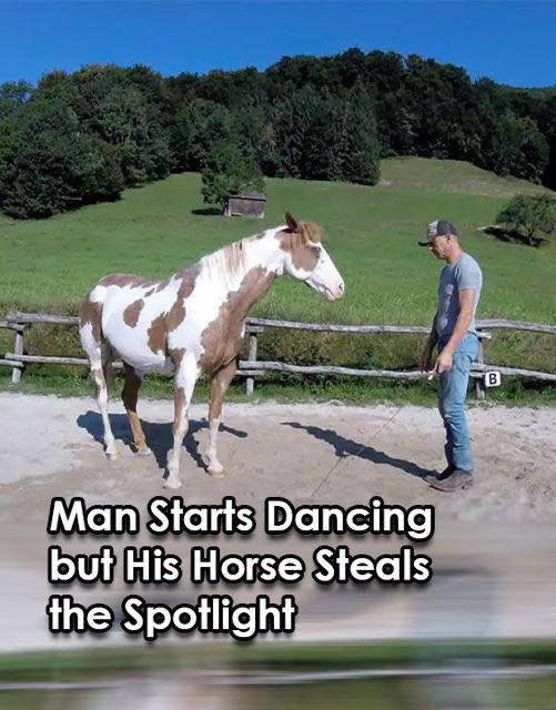 (VIDEO) Man Dances, Horse Steals the Spotlight