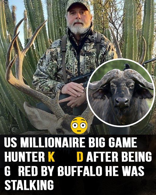 Buffalo at.*ack claims life of Texas ranch millionaire on South African h*nt.