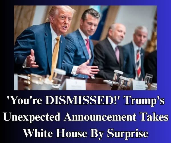 Trump Reappoints Newly-Minted IRS Commissioner to Ambassadorship