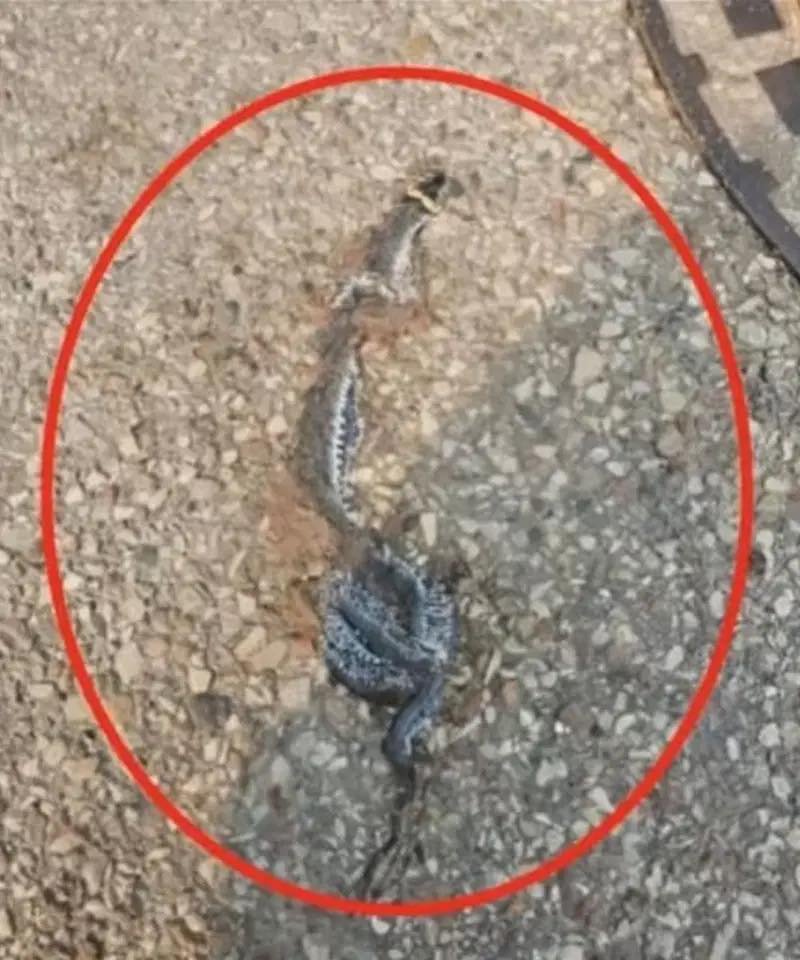 When Nature Comes Knocking