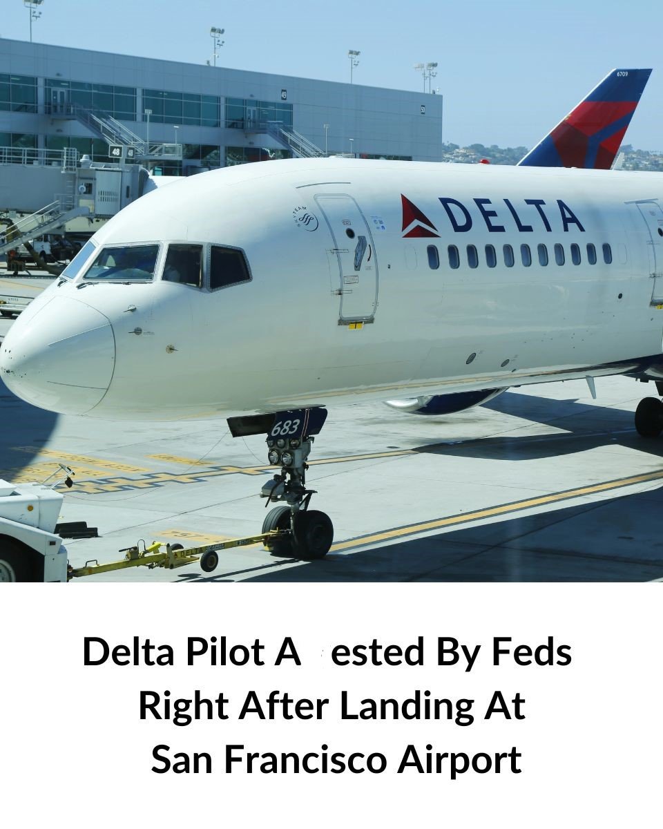 Delta Pilot A*r.est.ed by Federal Authorities Immediately After Landing in San Francisco
