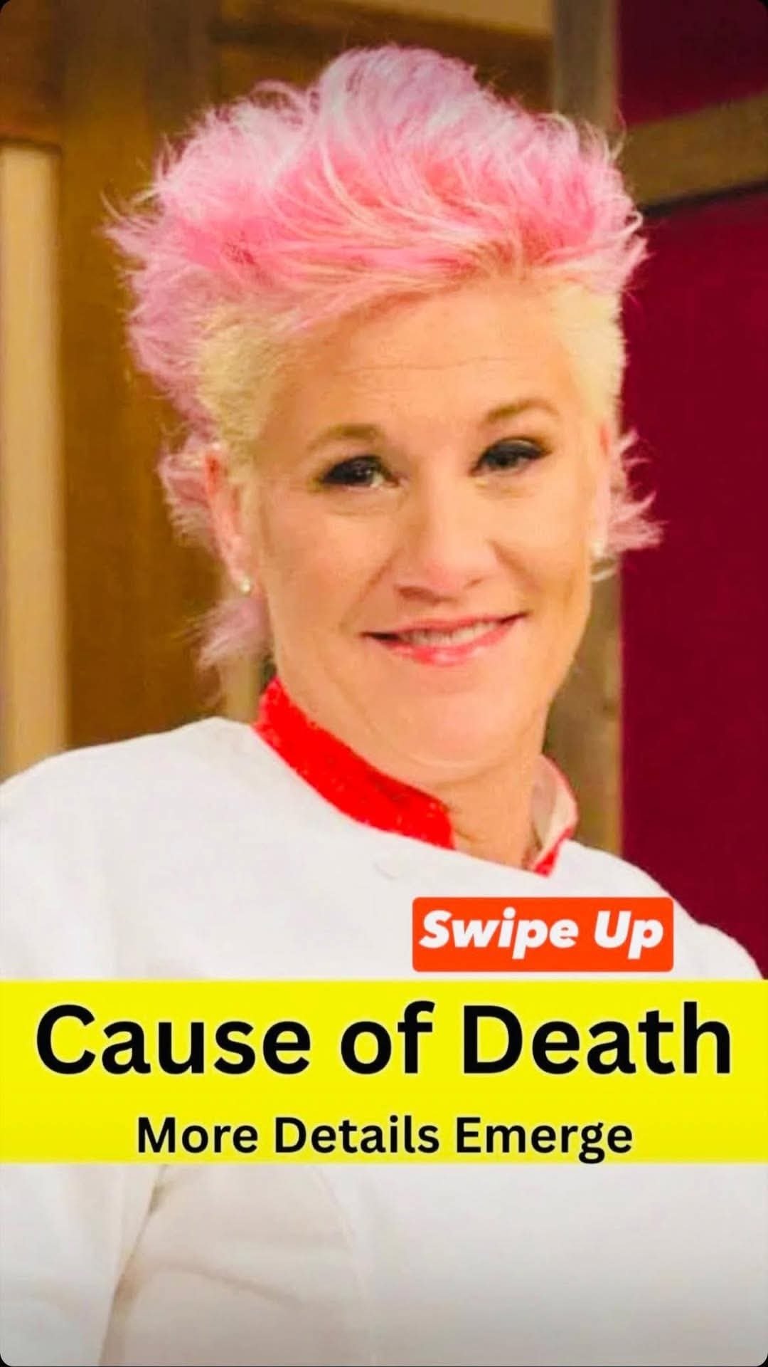 New details emerge in shocking death of Anne Burrell
