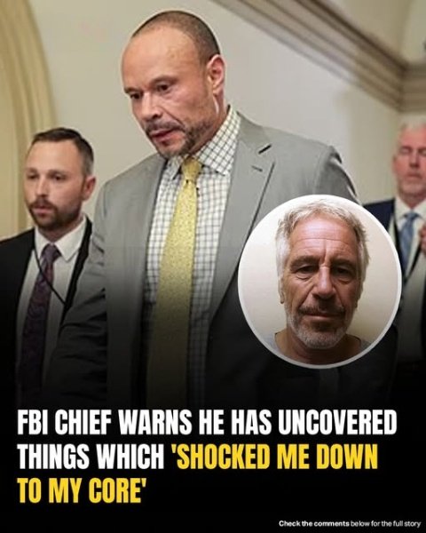 Top FBI Figure Makes Startling Claim Regarding Epstein Investigation