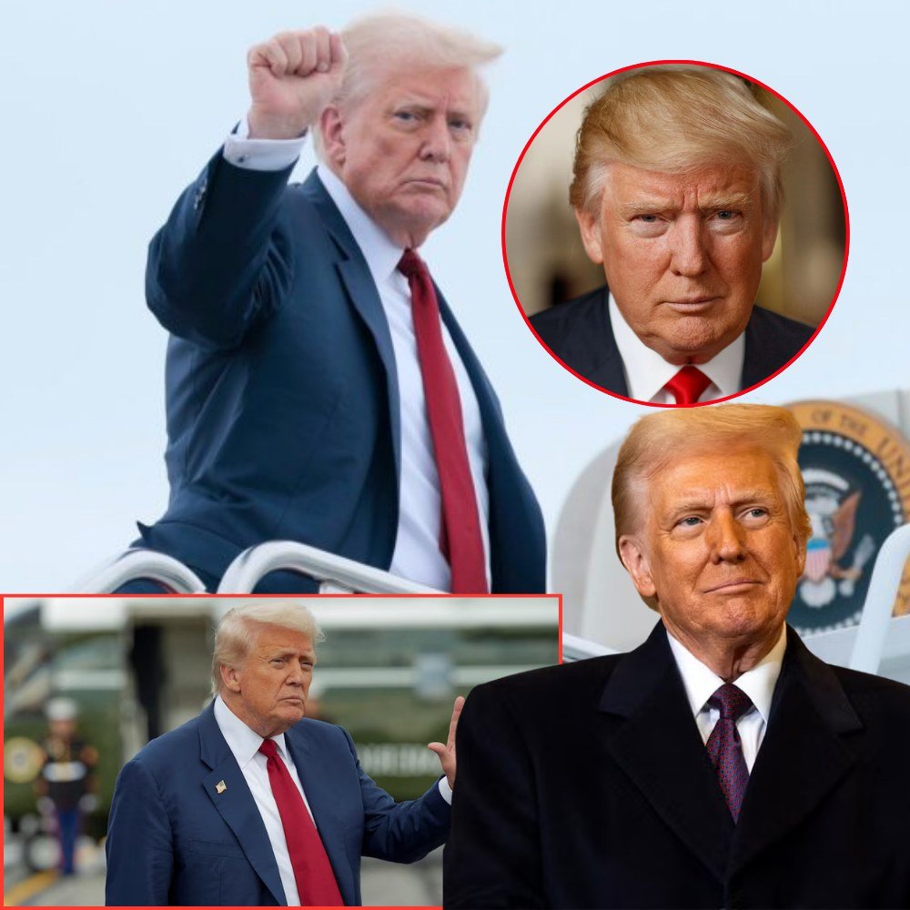 Poll: Democrats Party Is ‘Weak and Ineffective’ Against Trump