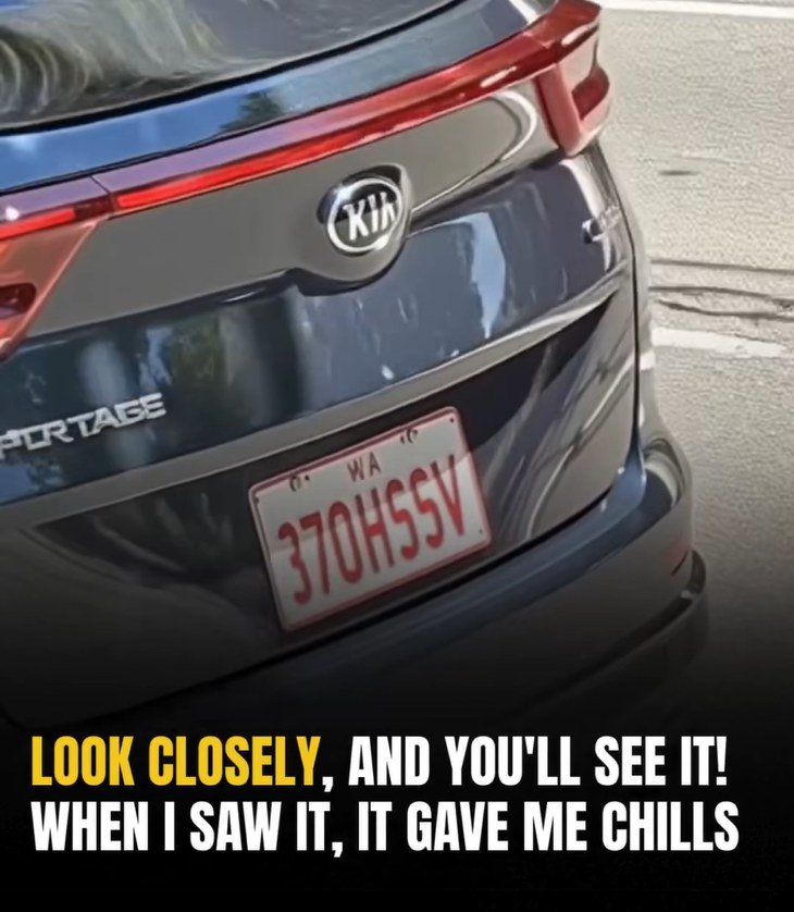 Absolutely Hilarious License Plates We’ve Seen In A While