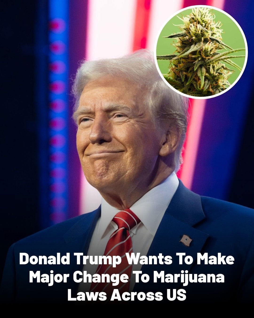 Trump Proposes Major Changes to US Ma.riju.ana Regulations