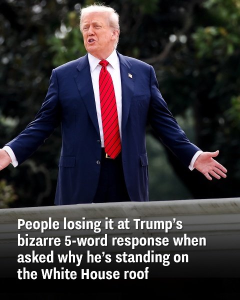 Trump’s weird 5-word answer about being on the White House roof has everyone freaking out.
