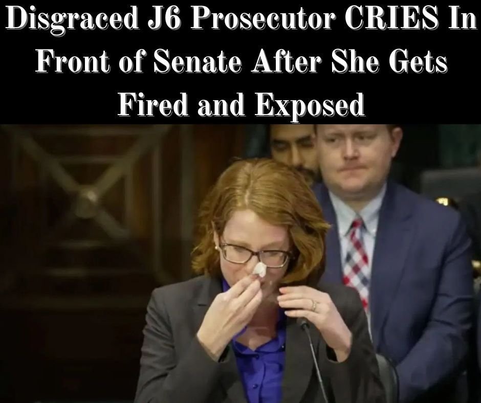 J6 Prosecutors Brag To Congress About Locking Up Americans For Misdemeanors