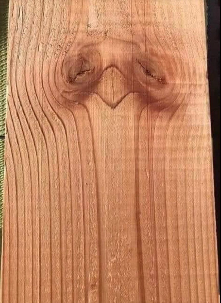 What you see first says a lot about your personality