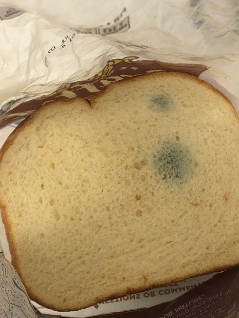 Can You Eat Stale Bread Safely? Here’s What You Should Know