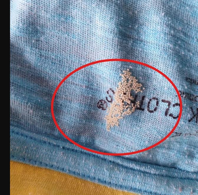 Yesterday morning, while sorting laundry by the window, I noticed something that made my heart skip a beat