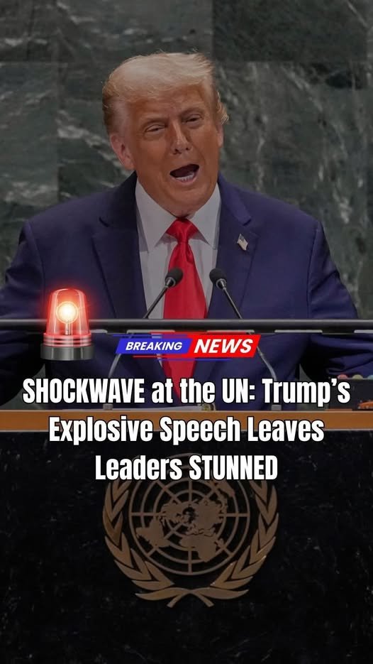Trump Rips Countries Allowing ‘Open Borders’ During Fiery UN Speech