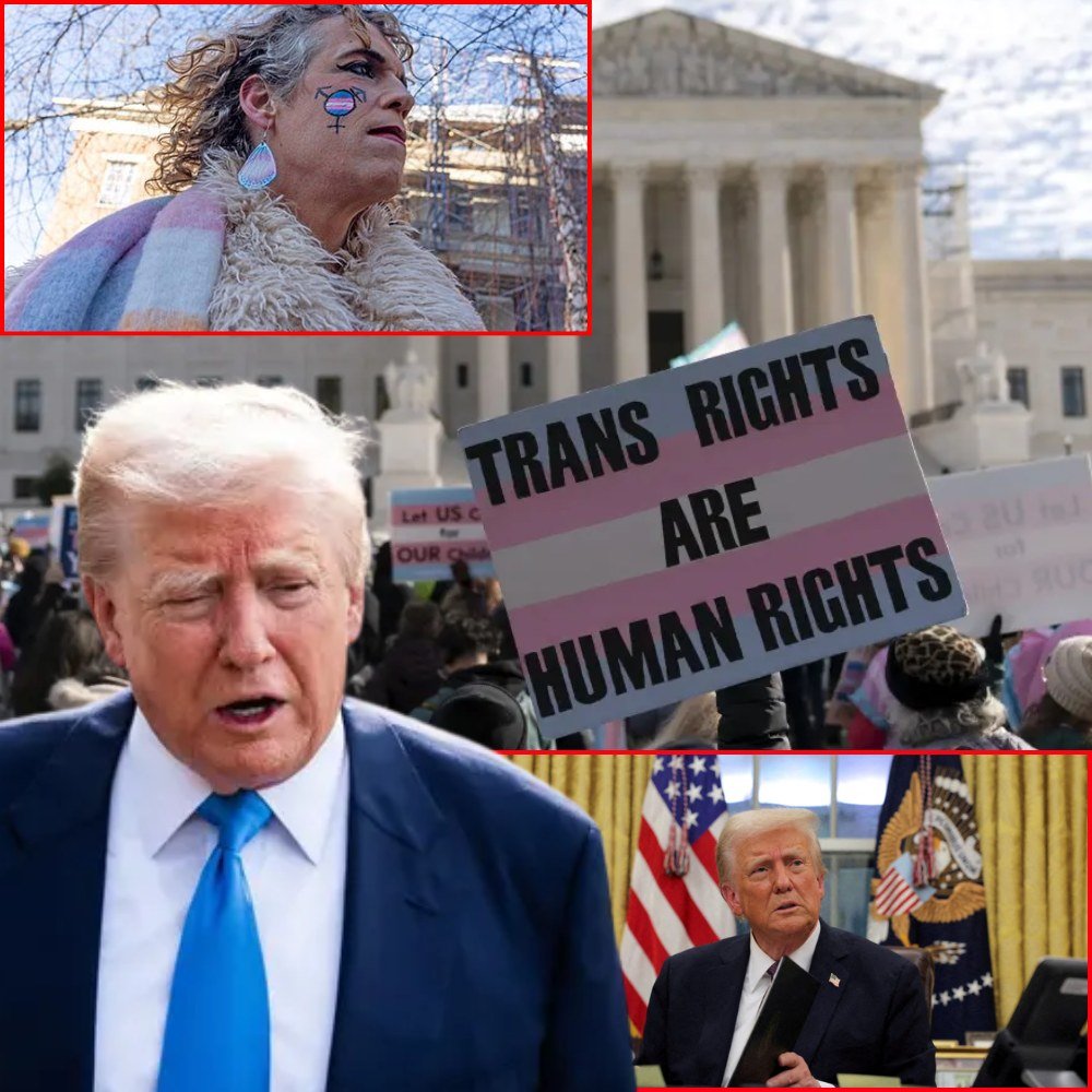Report: Transgender Americans to ‘Flee the Country’ as Trump Declared ‘Most Anti-LGBTQ+ President in History’