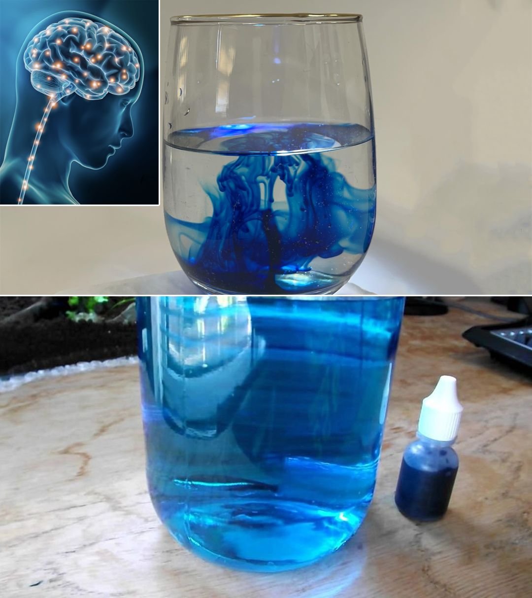 Methylene Blue – The Forgotten Remedy for Brain, Skin, and Immune Health